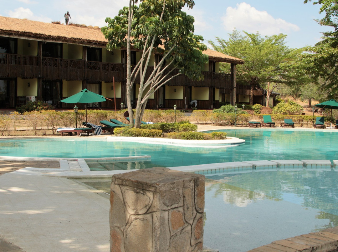 Budongo Forest-Western Region必去景点