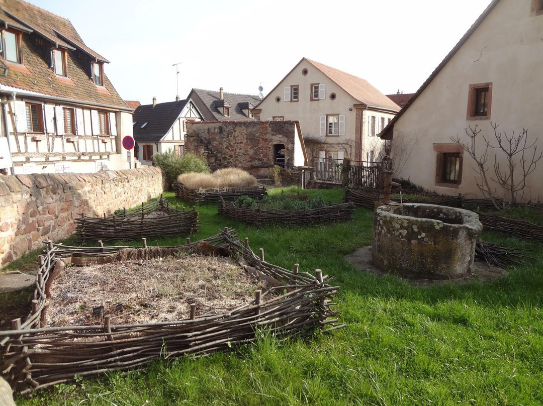 Jardin medieval景点图片