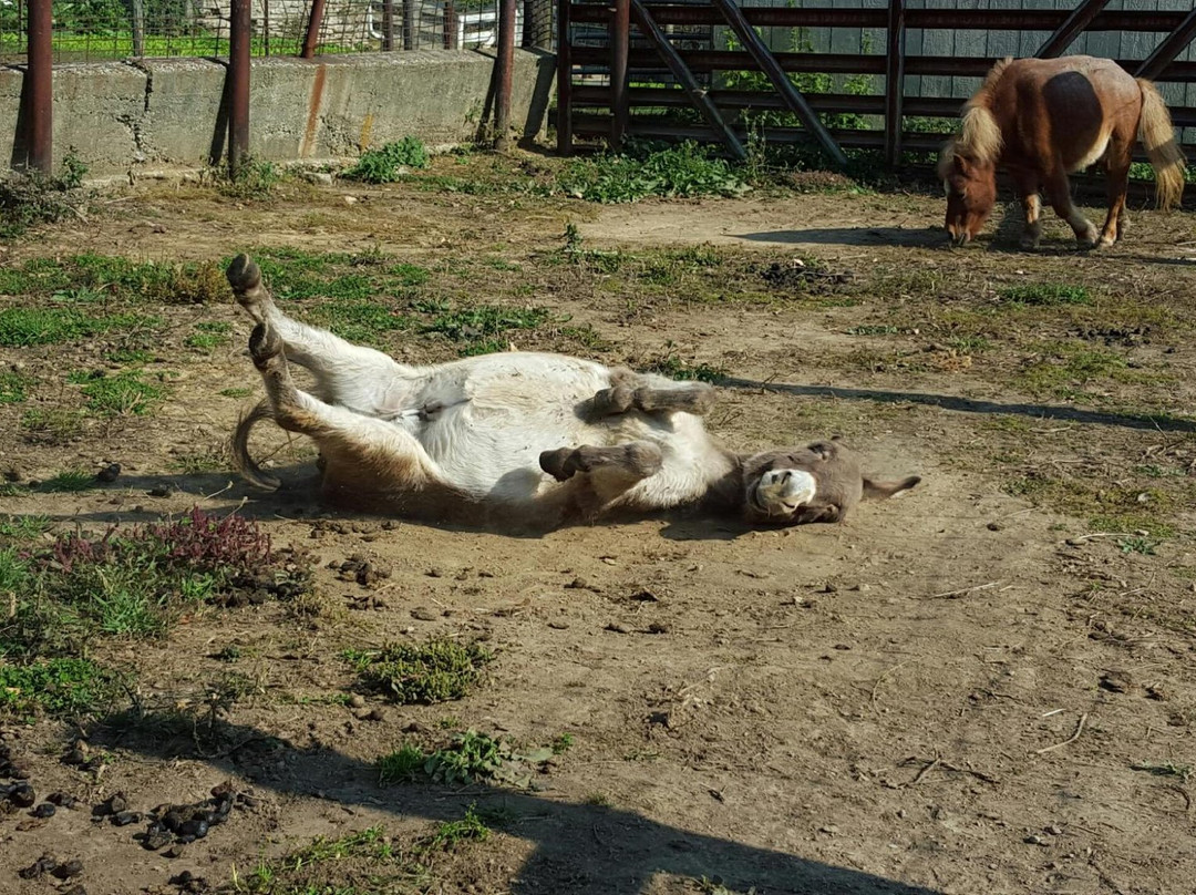 Gorman Heritage Farm-Evendale必去景点