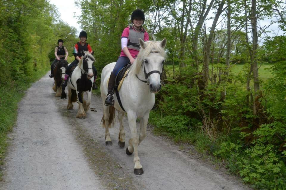 Claremorris Saddlery & Equestrian Centre景点图片