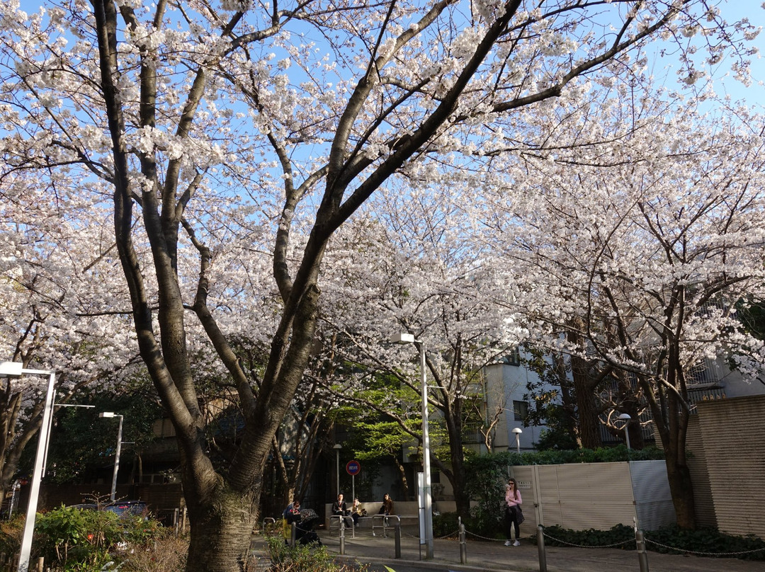 Roppongi Sakurazaka景点图片