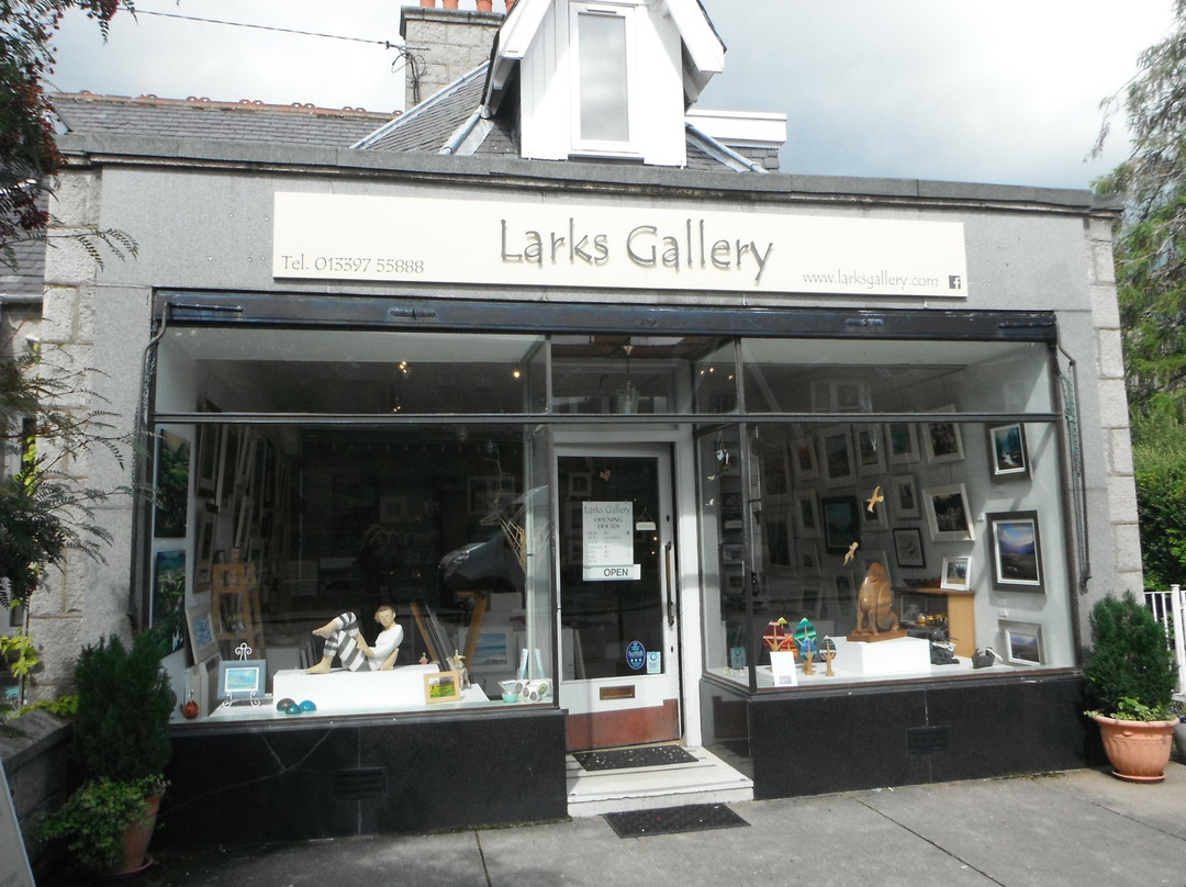 Larks Gallery景点图片