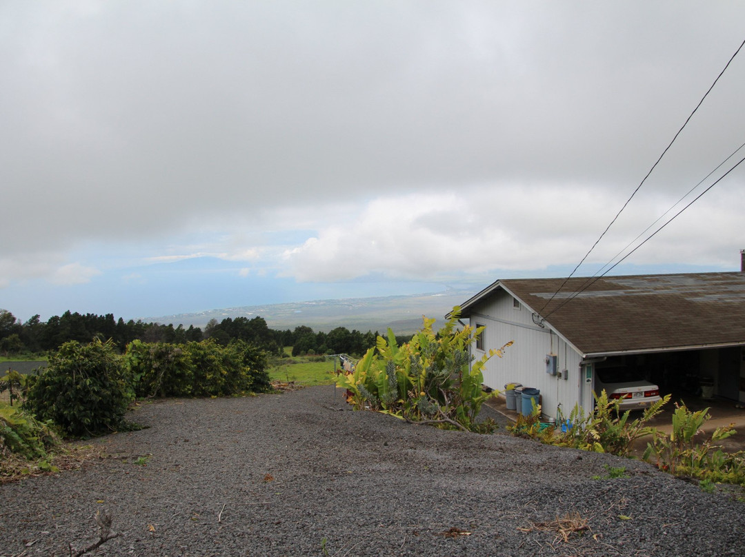 Shim's Coffee Farm-库拉必去景点
