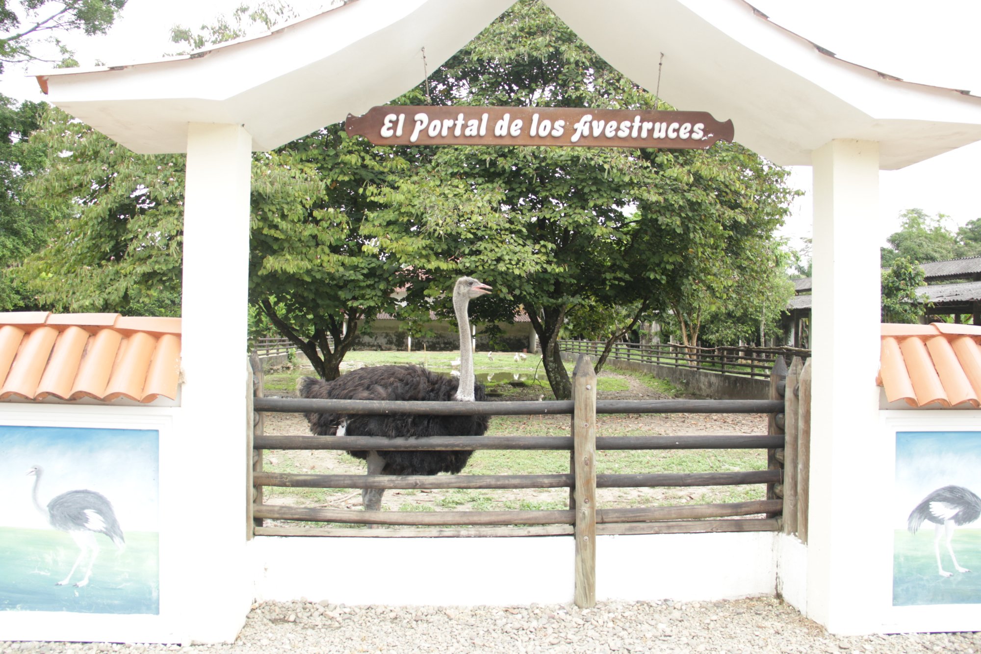 Hotel Campestre La Macarena-家庭/游戏区