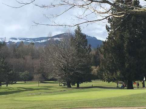 Mount Brenton Golf Course-Chemainus必去景点