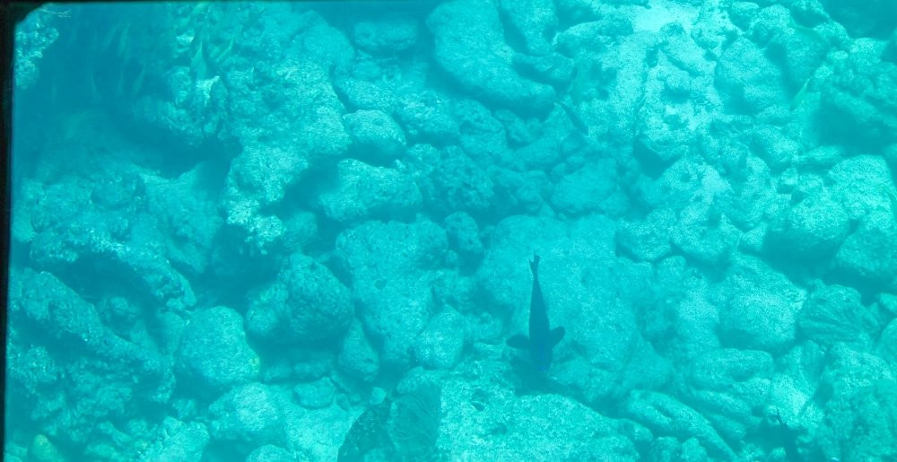 MarineLab Undersea Park-拉哥岛必去景点