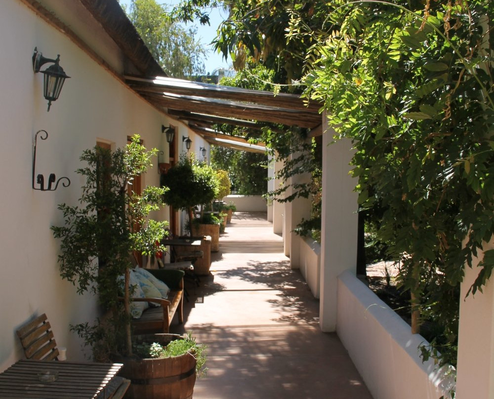 Yellow Aloe Guest House主图