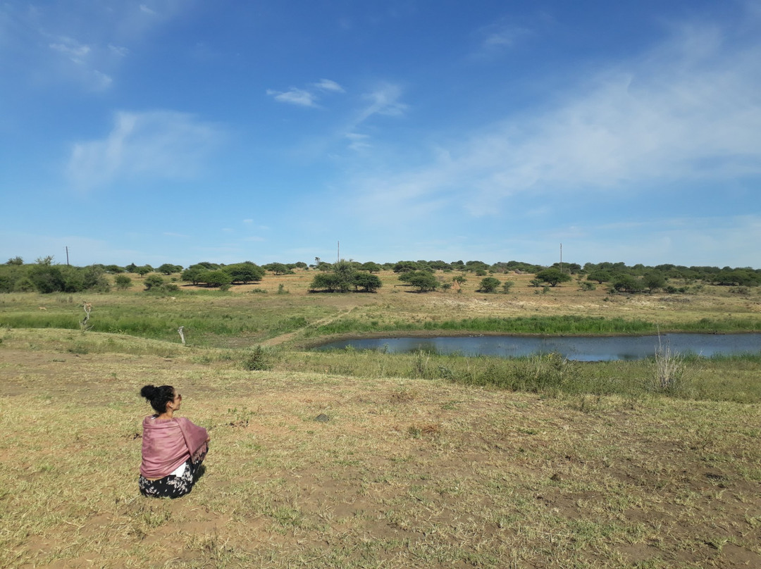 卡帕玛河山林小屋主图
