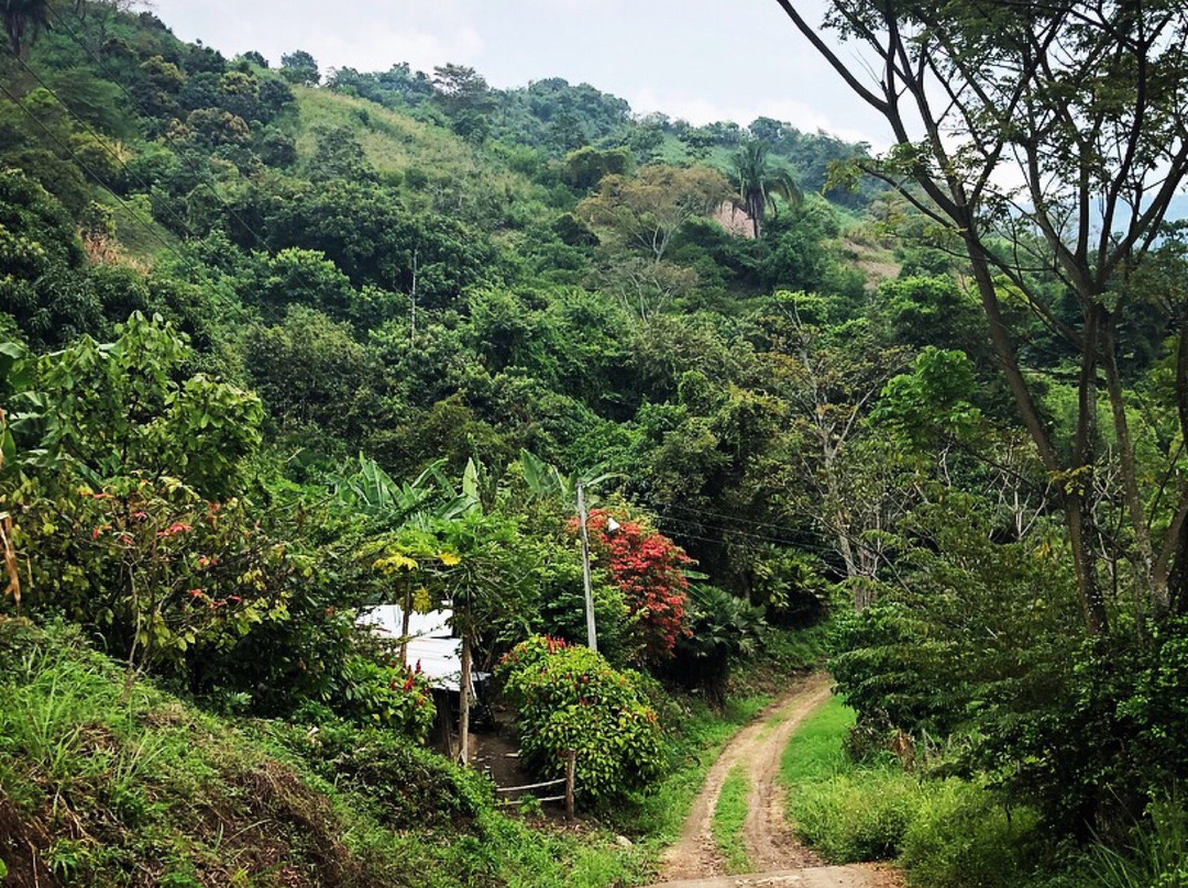 Camino Real de la Mesa景点图片