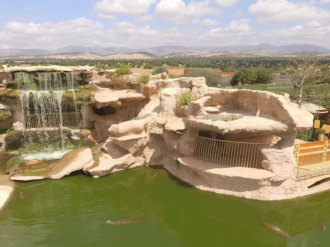 Crocoparc-阿加迪尔必去景点