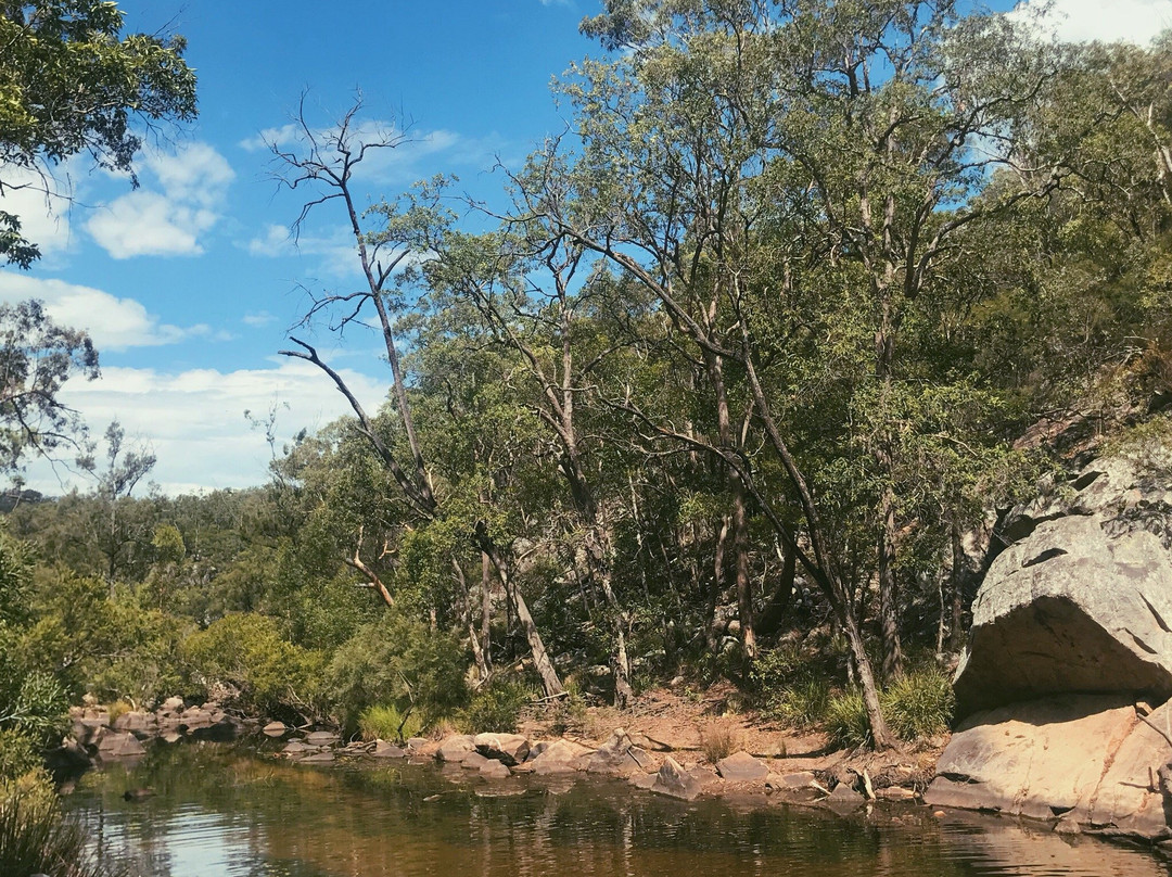 Crows Nest National Park-Crows Nest必去景点
