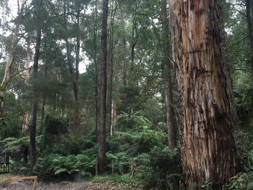 Minak Reserve-贝尔格雷夫必去景点