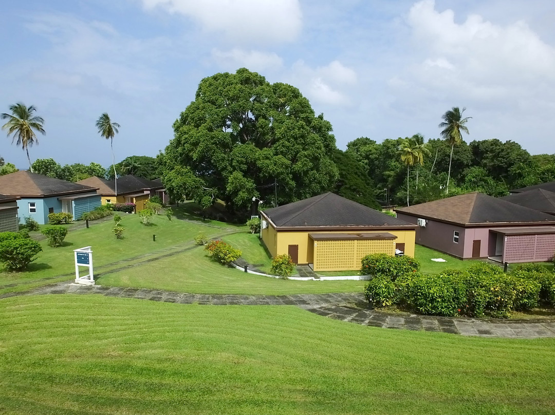 Mount Irvine Bay Resort主图