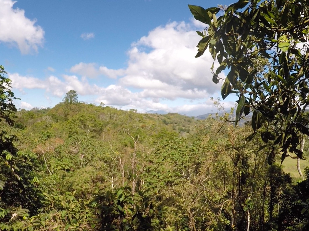 Lagunas Adventures on The Janson Coffee Farm景点图片