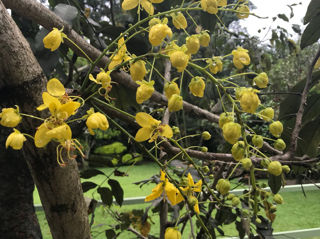 Burnedale Farm-Umhlali必去景点