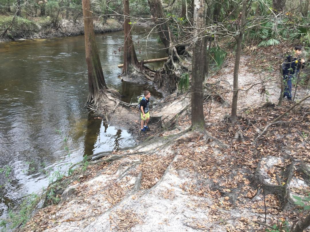 Aldermans Ford Conservation Park景点图片