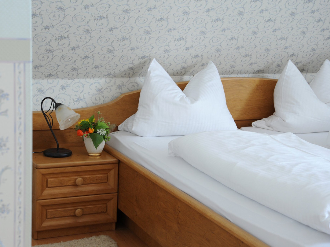 Landgasthof Zum Schwarzen Adler主图