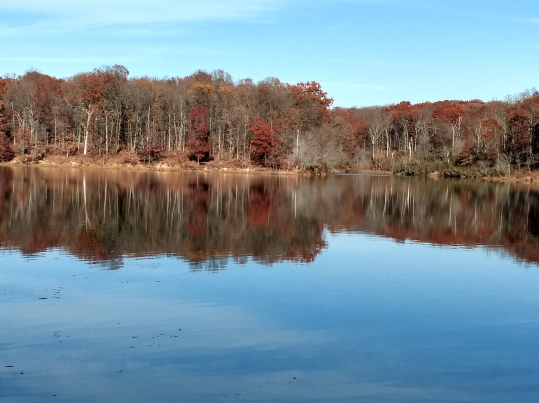Piney Run Park景点图片
