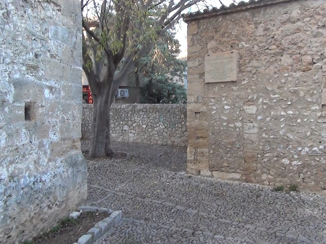 Jardines Joan March y Torre Desbrull-Pollenca必去景点