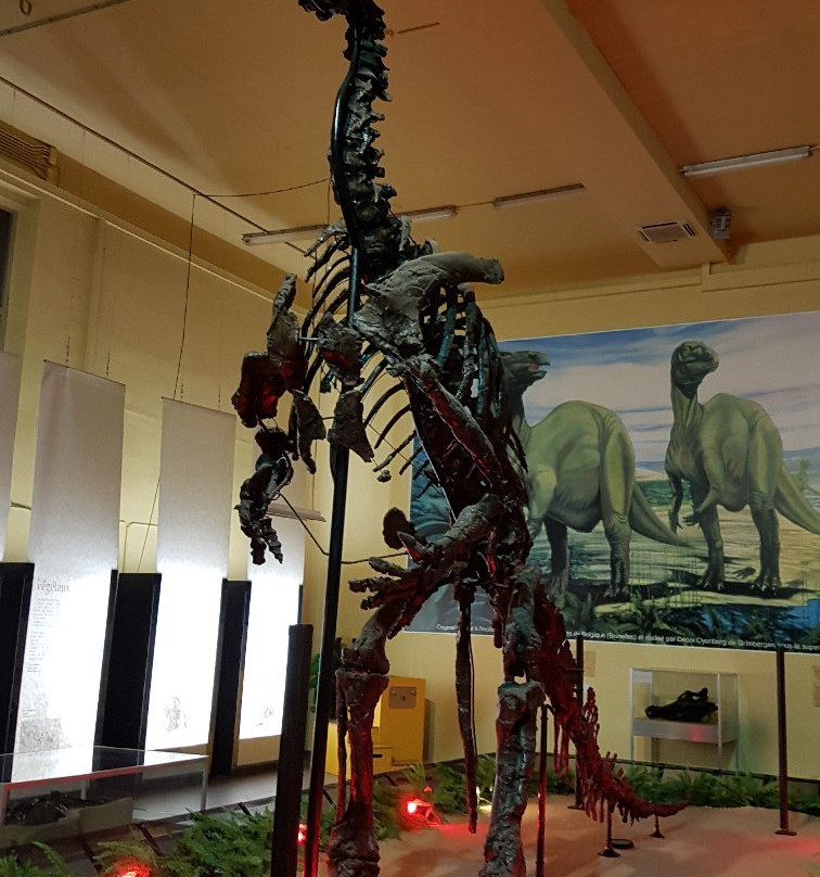 Museum of the Iguanodon景点图片