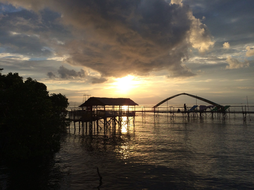 Saluleang Mangrove Forest Eco Tourism景点图片