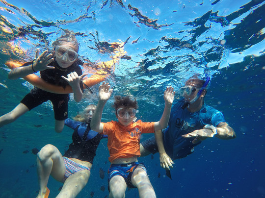 Auntie Snorkel Kihei