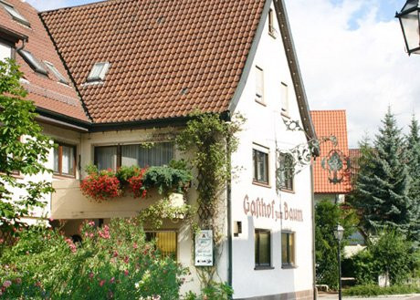 Weil der Stadt旅游攻略图片