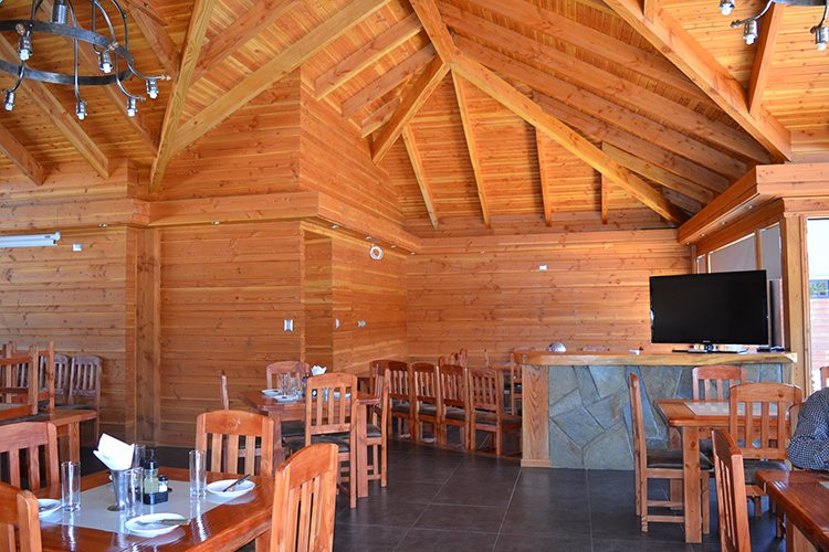 Hotel Pitrufquen主图