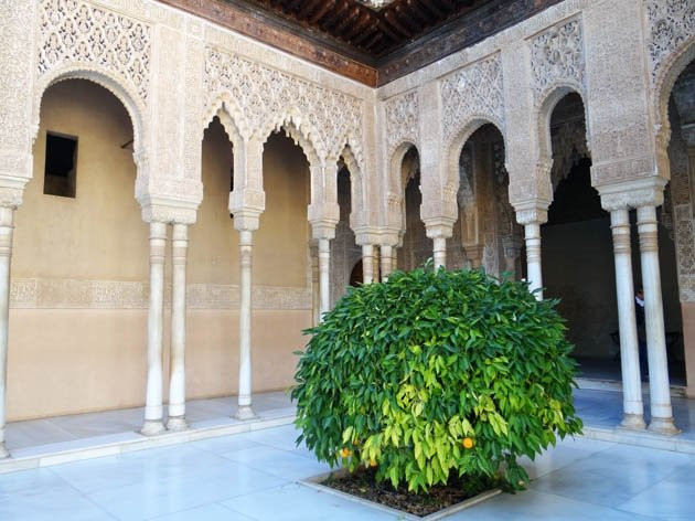 Patio De Los Leones景点图片