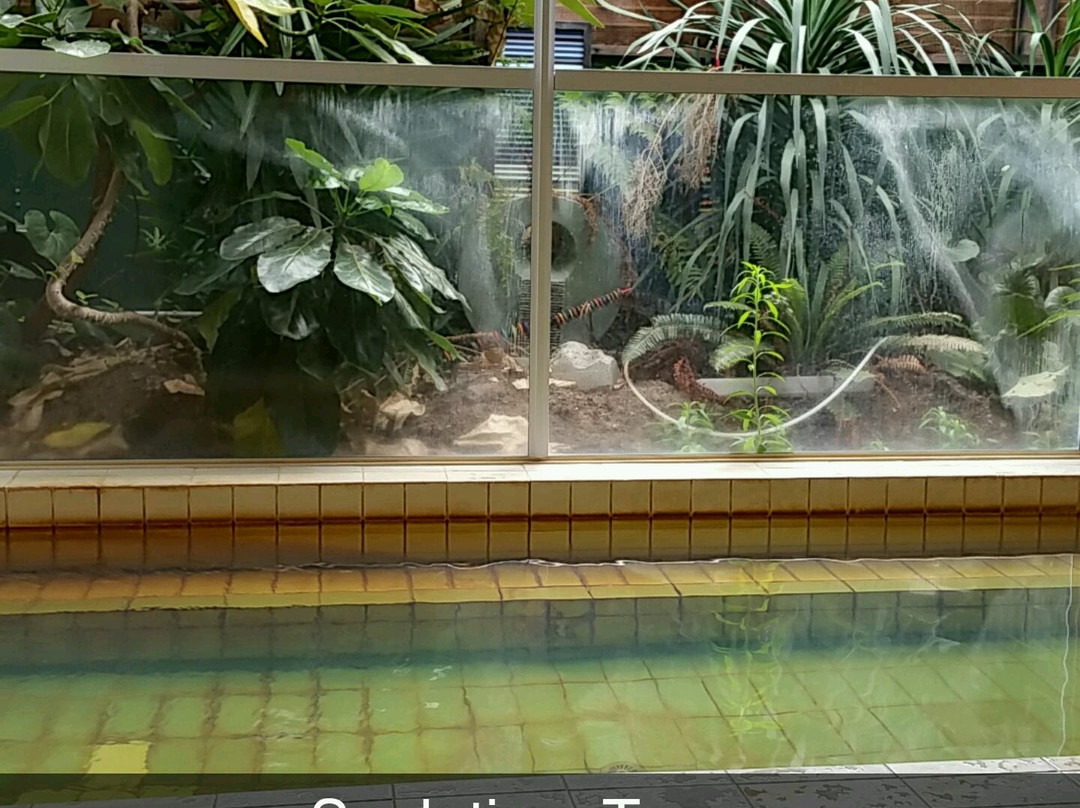 AC Baths景点图片