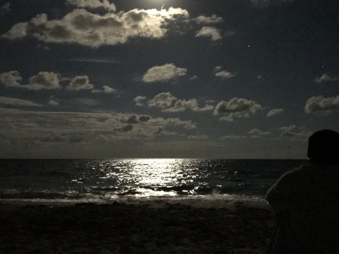 South Beach Park-博卡拉顿必去景点