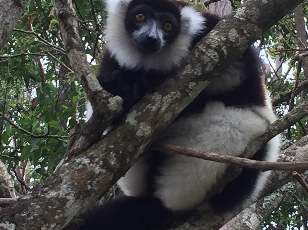 Cactus Tours Madagascar-安塔那那利佛必去景点