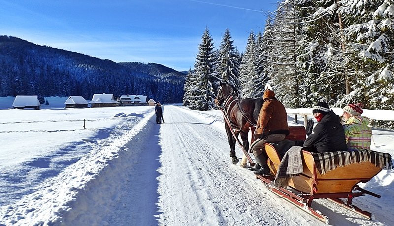 Sleigh Ride in the Tatra National Park-扎科帕内必去景点