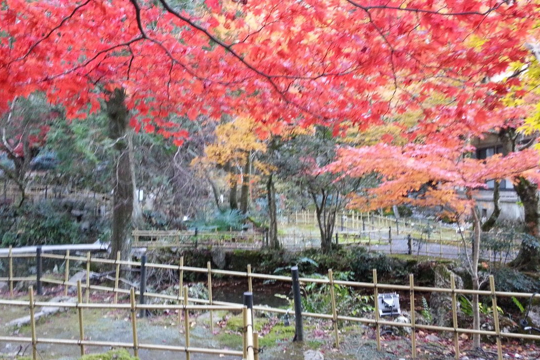 Shobo-ji Temple景点图片