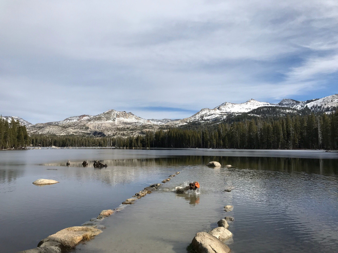 Wright's lake景点图片
