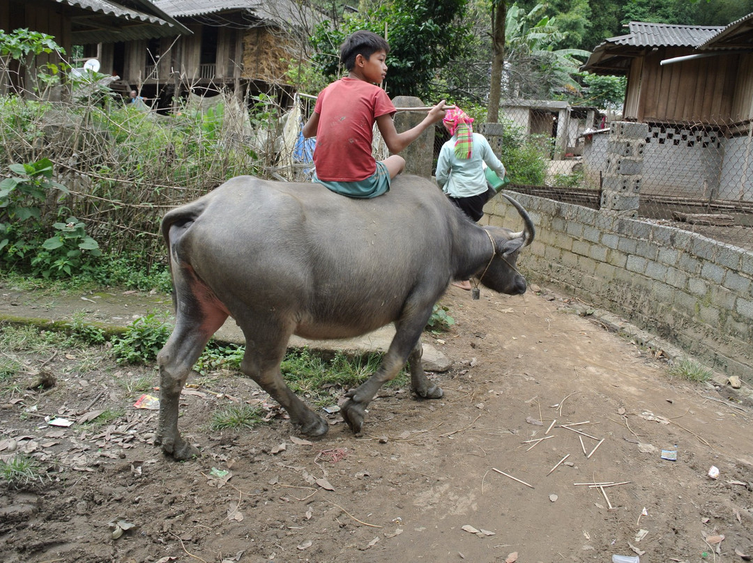 Tu Le Valley-Van Chan District必去景点
