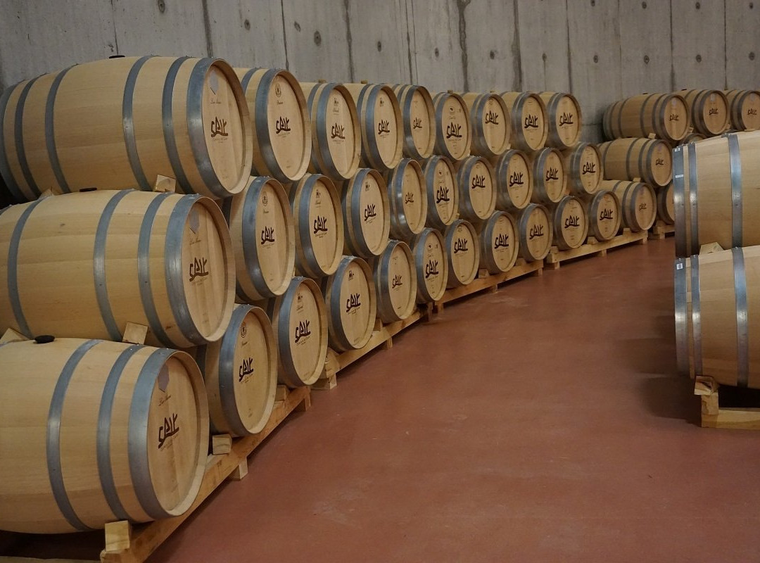 Bodegas Dominio de Cair景点图片