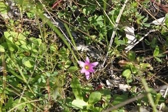 Moree Reserve-Kaniva必去景点