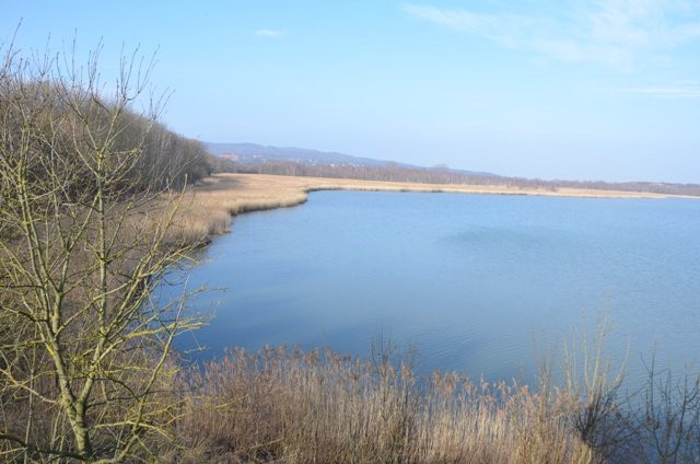 萨尔茨基特旅游景点-Europäisches Vogelreservat Heerter See