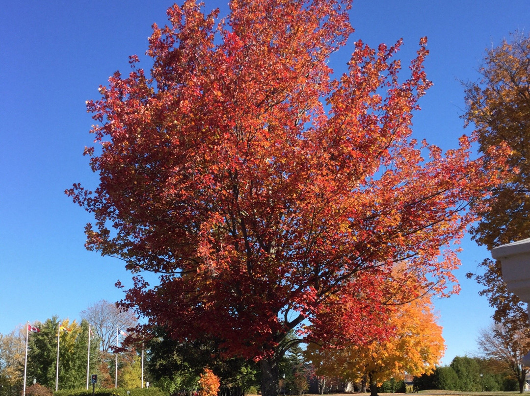 Old Government House-弗雷德里克顿必去景点