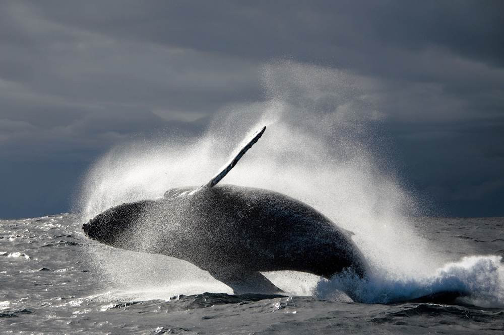 Oceans Alive-Scottburgh必去景点