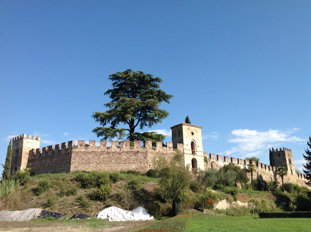 Villa Arrighi景点图片