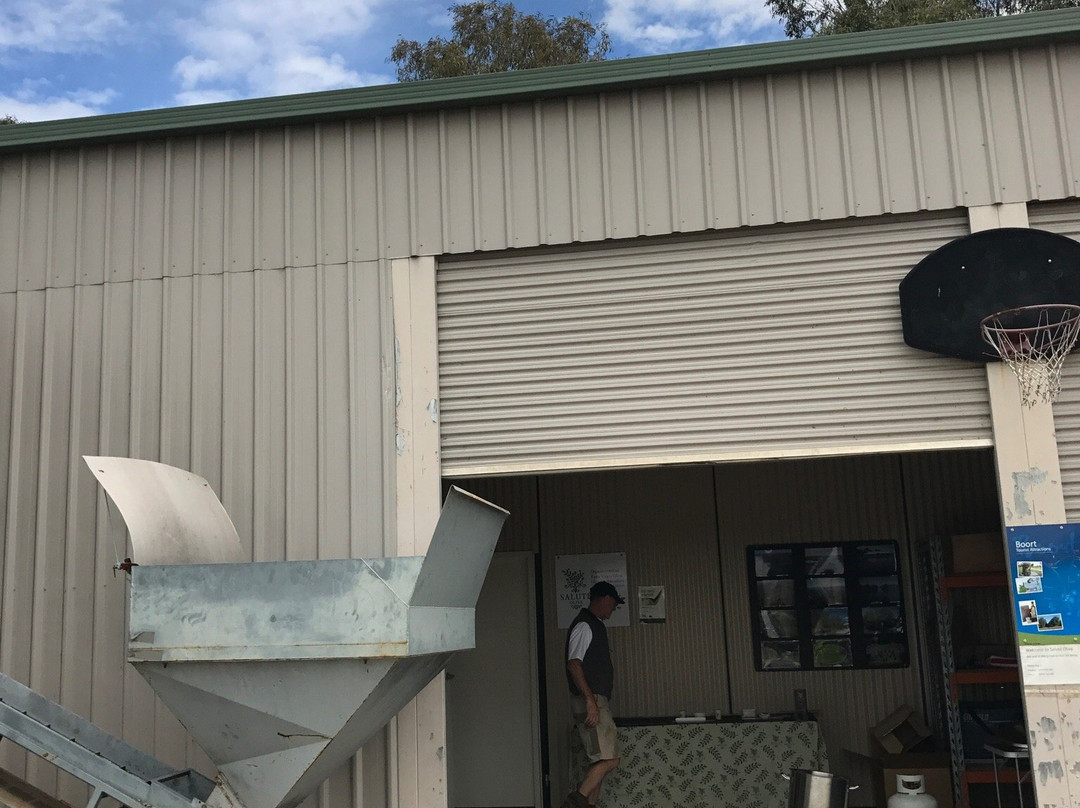 Salute Olivia-Boort必去景点