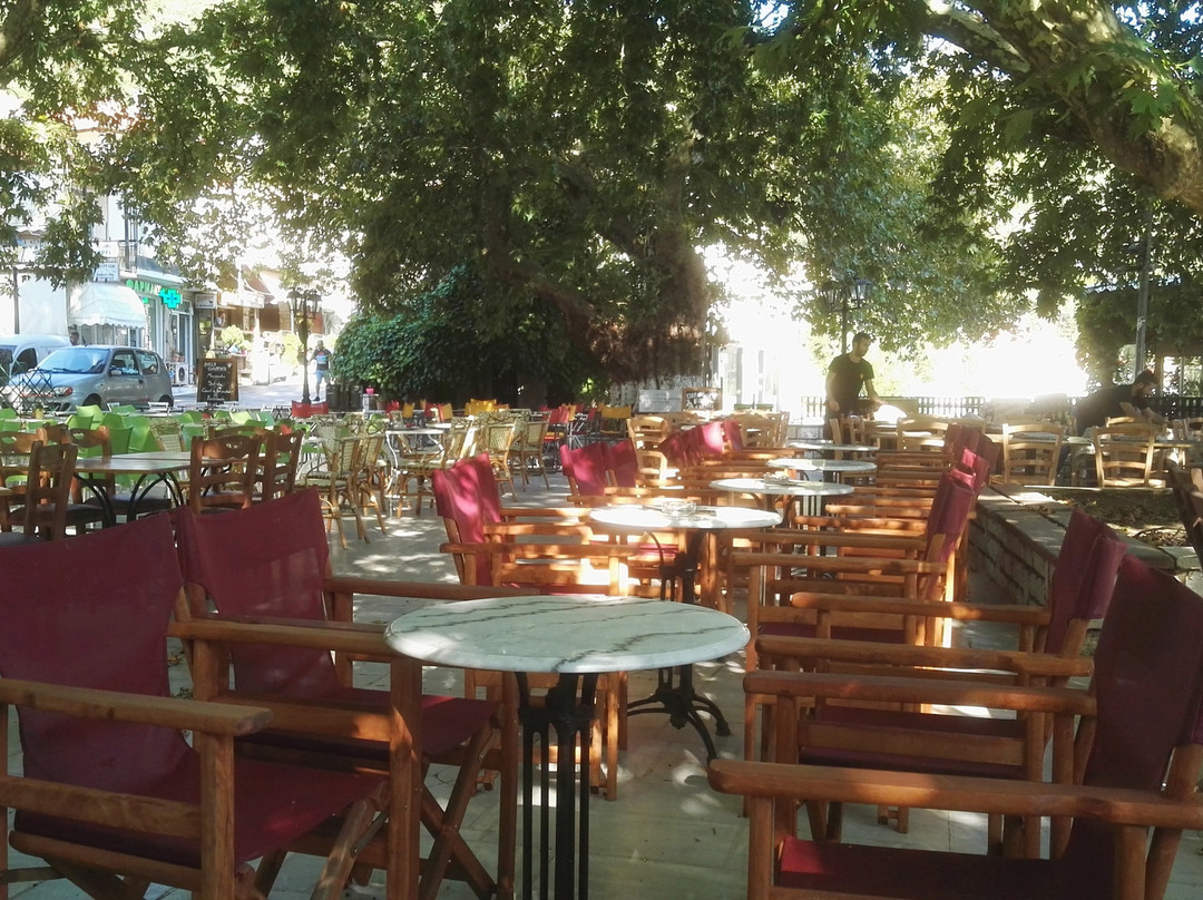 Lefkas Jeep Safari-Nidri必去景点