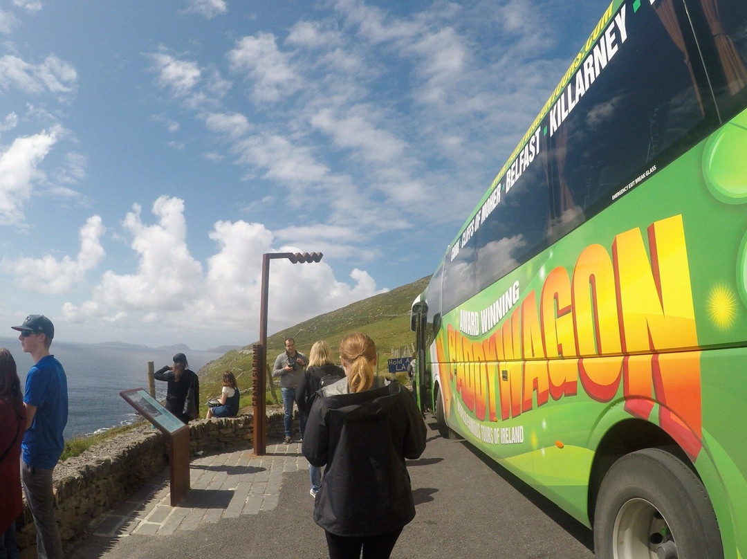 Paddywagon Tours-基拉尼必去景点