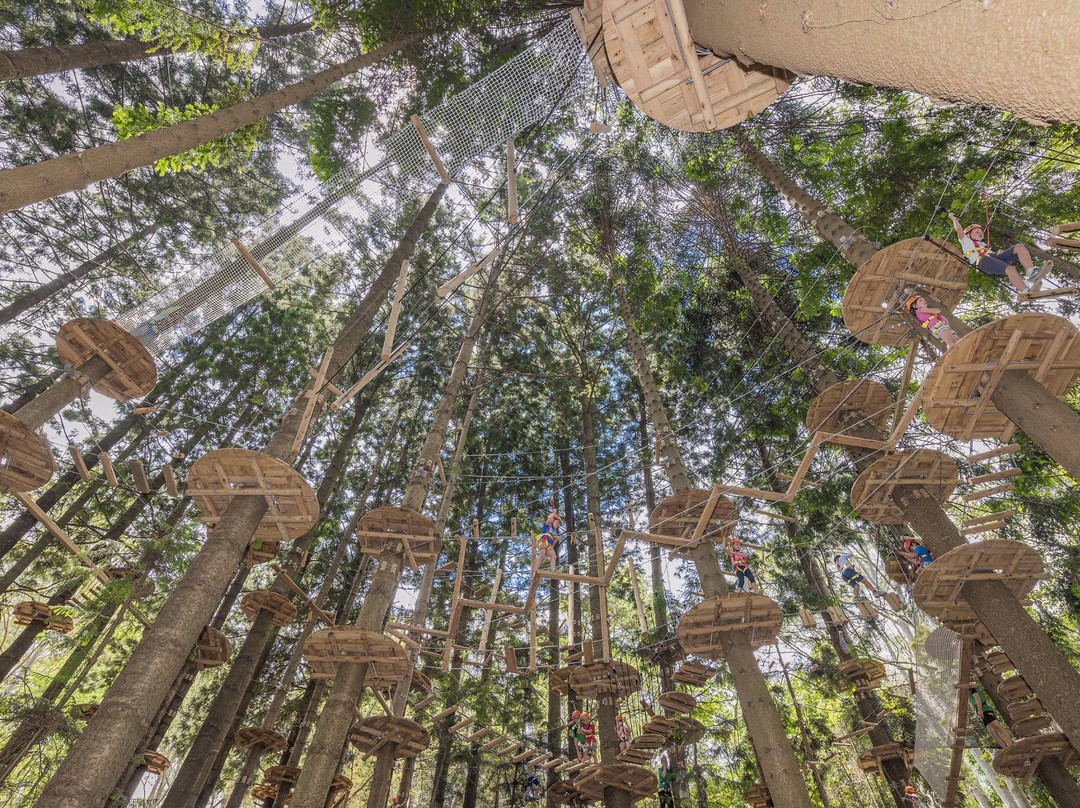 Treetops Adventure The Hills景点图片