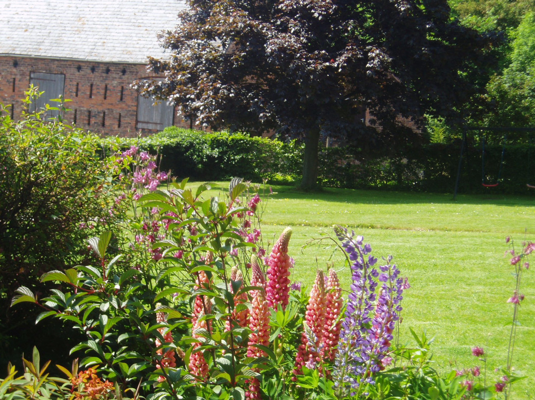 Bach y Graig Farmhouse主图