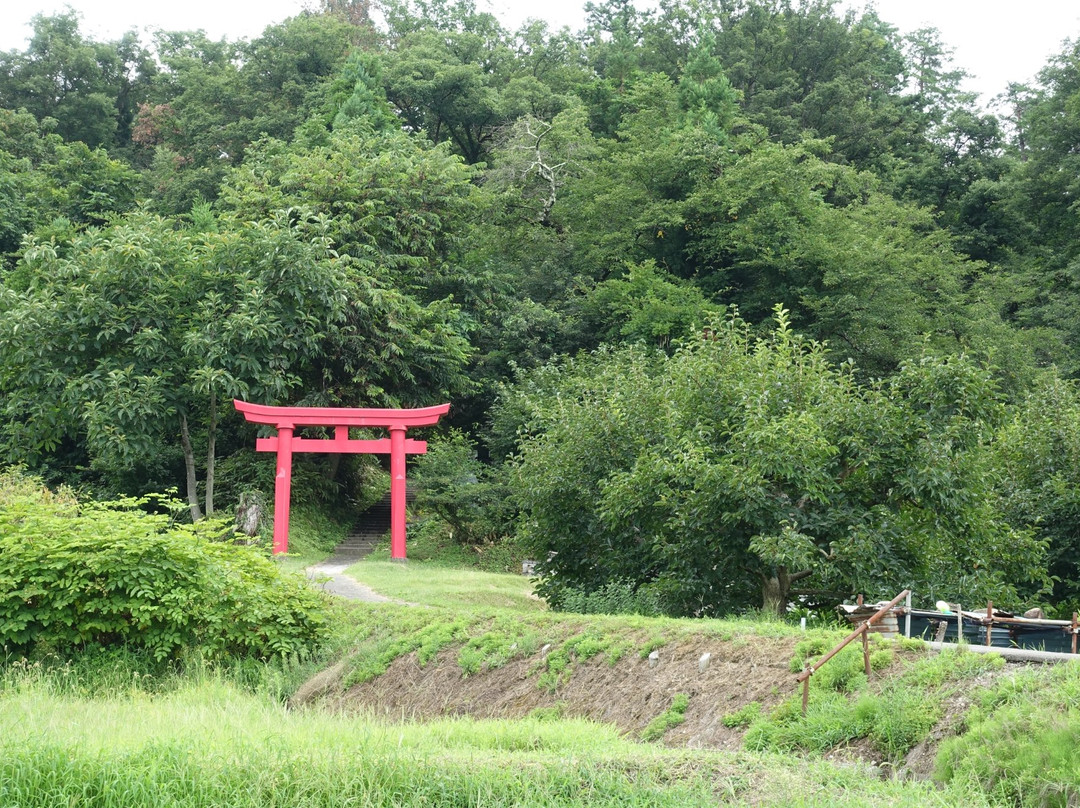 Tateyama Park-大江町必去景点