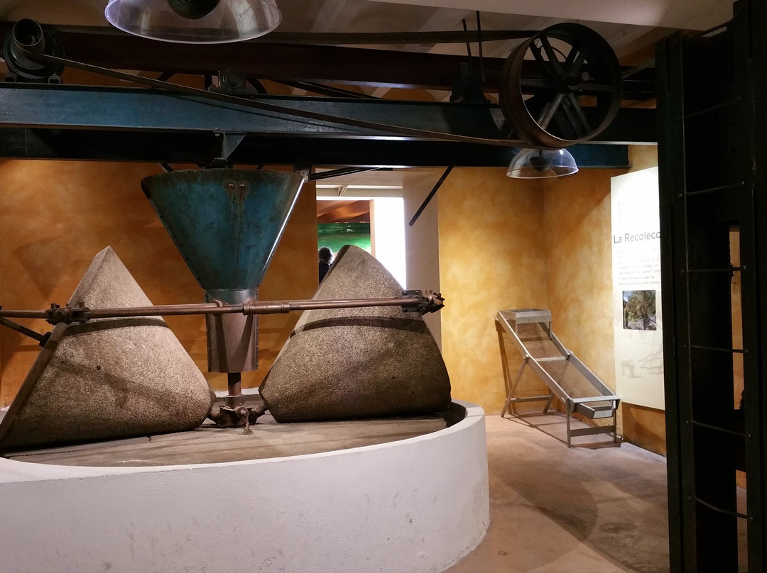 La Belluga Museo del Aceite-Segorbe必去景点
