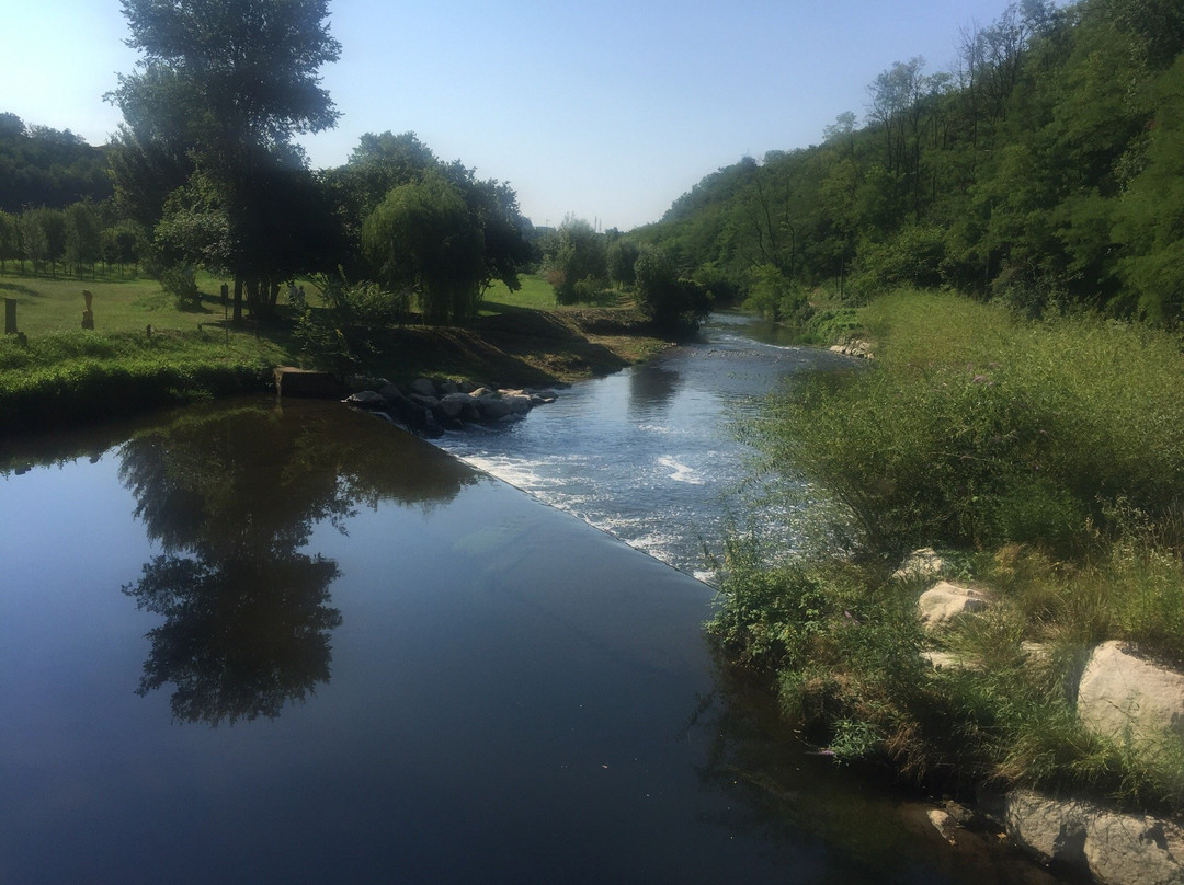 Castiglione Olona旅游攻略图片